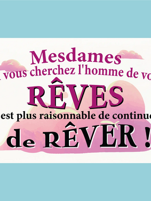 Plaque humoristique: Mesdames si vous cherchez l'homme de vos rêves - Lafourgoneta