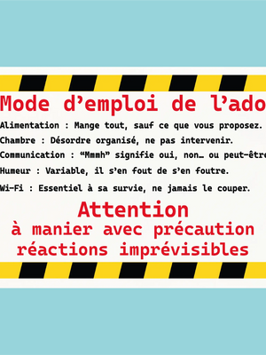 Plaque humoristique: Mode d'emploie de l'ado - Lafourgoneta