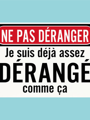 Plaque humoristique: Ne pas déranger je suis déjà assez dérangé comme ça - Lafourgoneta
