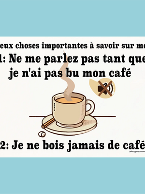 Plaque humoristique: Deux choses importantes à savoir sur moi - Lafourgoneta