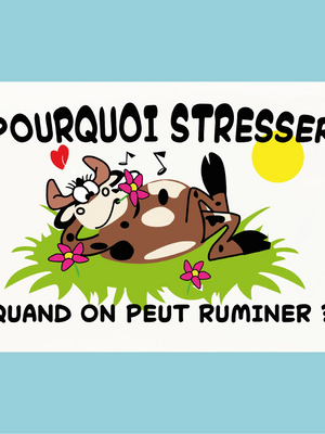 Plaque humoristique: Pourquoi stresser quand on peut ruminer - Lafourgoneta