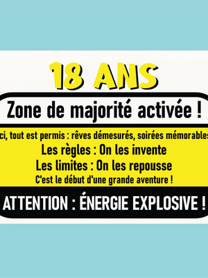 Plaque humoristique: 18 ans zone de majorité activée - Lafourgoneta