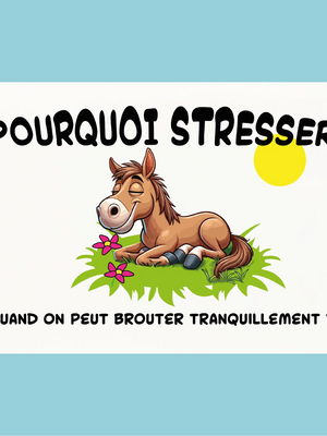 Plaque humoristique: Pourquoi stresser quand on peut brouter tranquillement - Lafourgoneta